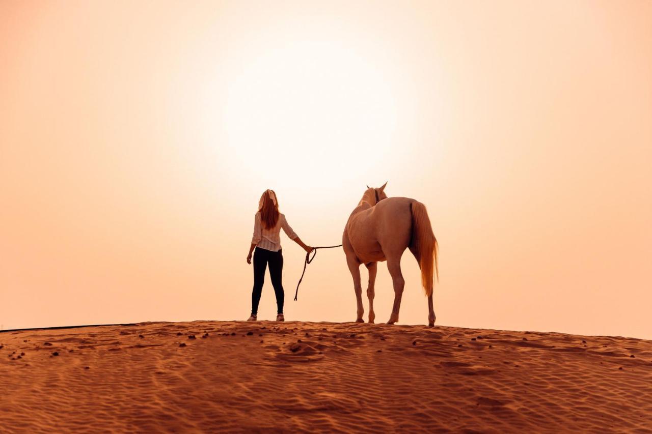 Al Wathba, A Luxury Collection Desert Resort & Spa, Абу Даби Екстериор снимка